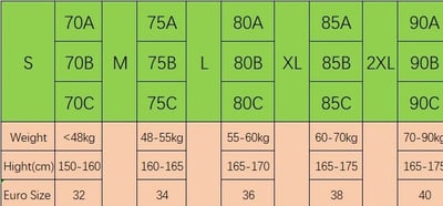 Ice Silk Seamless Bra (3 PCS)