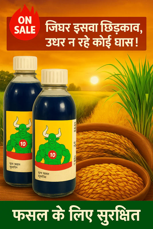 Cyclosinone Herbicide | 🔥BUY 1 GET 1 FREE🔥